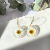 White daisy Medium round resin dangle with gold hoops