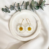 White daisy Medium round resin dangle with gold hoops