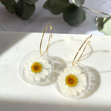 White daisy Medium round resin dangle with gold hoops