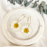 White daisy Medium round resin dangle with gold hoops