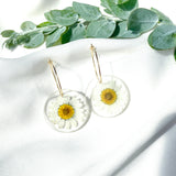 White daisy Medium round resin dangle with gold hoops