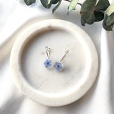 Petite square forget me not mini hoops