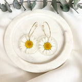 White daisy Medium round resin dangle with gold hoops