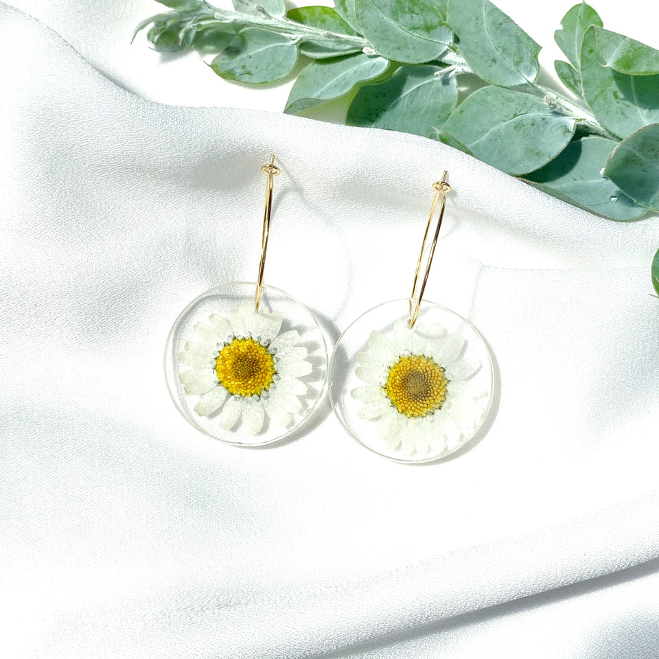 Daisy Collection