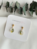 Small native mountain daisy earrings on studs