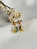 Small native mountain daisy earrings on studs