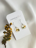 Small Wattle drop earrings on gold hooks